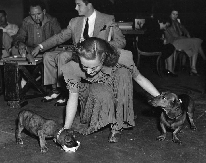 1937. On the set of 'The Bride Wore Red.'