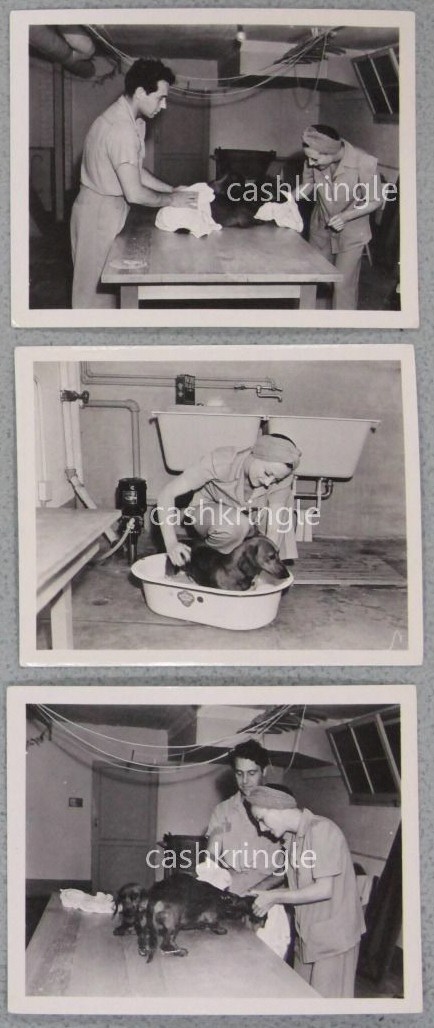 May 22, 1939. At home with boyfriend Charles Martin washing her dachshunds. Shot by Don Gusias.