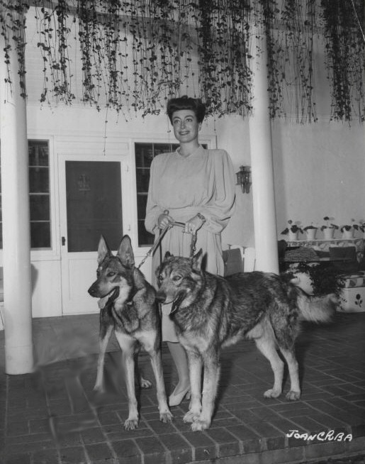 1943 at home with a friend's dogs, Bernie and Arty.