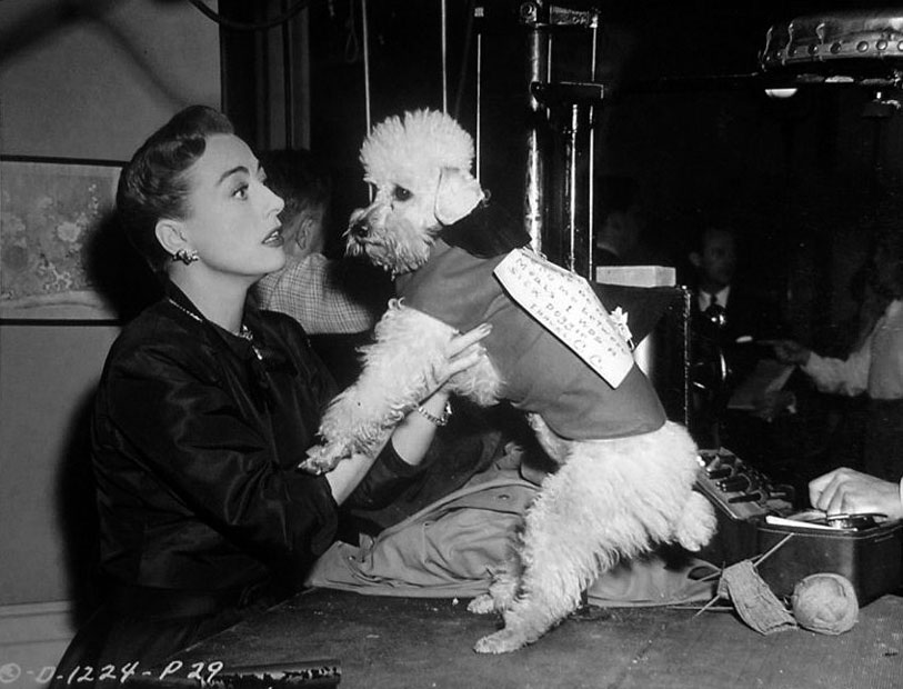 1950. On the set of 'Harriet Craig' with Cliquot and 'don't feed me' sign.