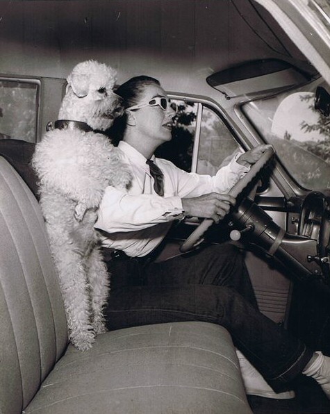 1953. Cruisin' with Cliquot.