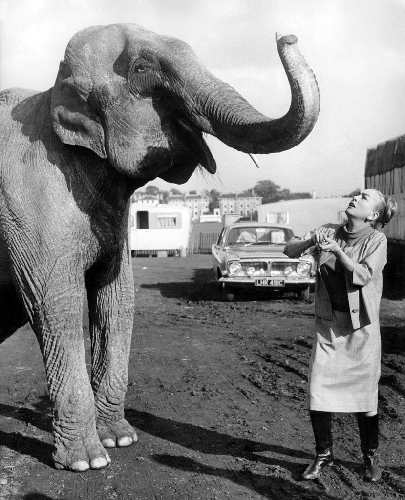 1968. On the set of 'Berserk!'