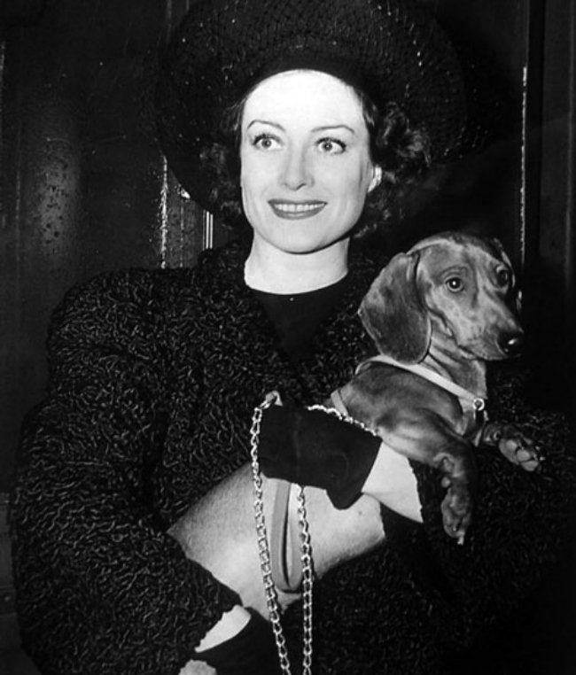 1939. On train with pup.